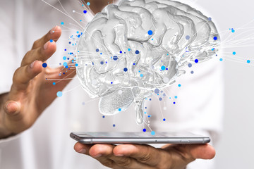 复眼的昆虫有哪些