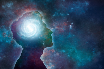 复眼的昆虫有哪些