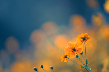 潮汕两日一夜旅游景点介绍 潮汕两天一夜旅游攻略