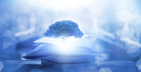 石家庄北站离石家庄站有多远