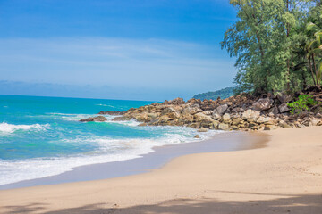 复眼的昆虫有哪些
