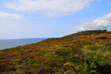 吉他和弦转换不利索怎么办？