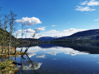 宝马保养用什么机油发动机不会出现抖动呢？