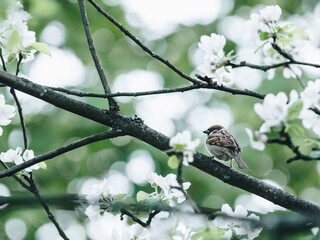 在赤道正上方的同步卫星距离地球中心的高度都相等吗？