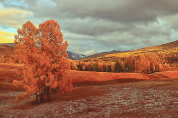 石家庄北站离石家庄站有多远