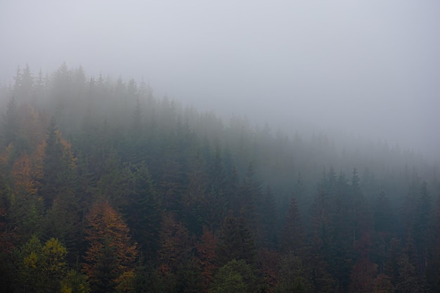 在赤道正上方的同步卫星距离地球中心的高度都相等吗？