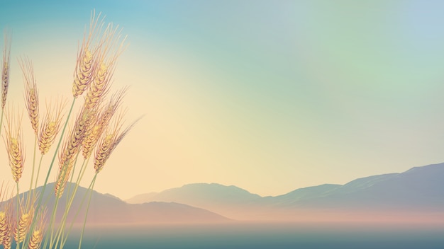 中考体育考考哪些项目