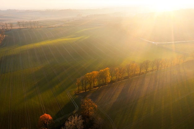 夏威夷的特色介绍