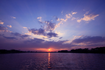 复眼的昆虫有哪些