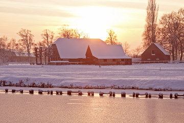 复眼的昆虫有哪些